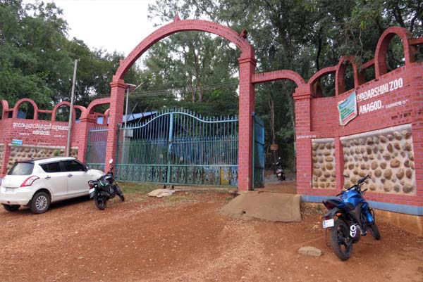 ಆನಗೋಡು ಕಿರು ಮೃಗಾಲಯದಲ್ಲಿ 4 ಚುಕ್ಕಿ ಜಿಂಕೆಗಳ ನಿಗೂಢ ಸಾವು